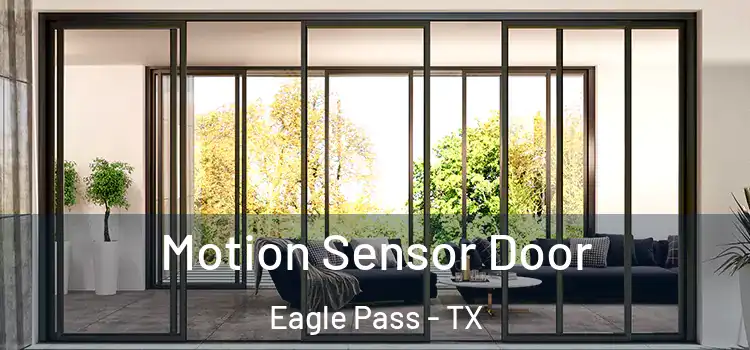 Motion Sensor Door Eagle Pass - TX